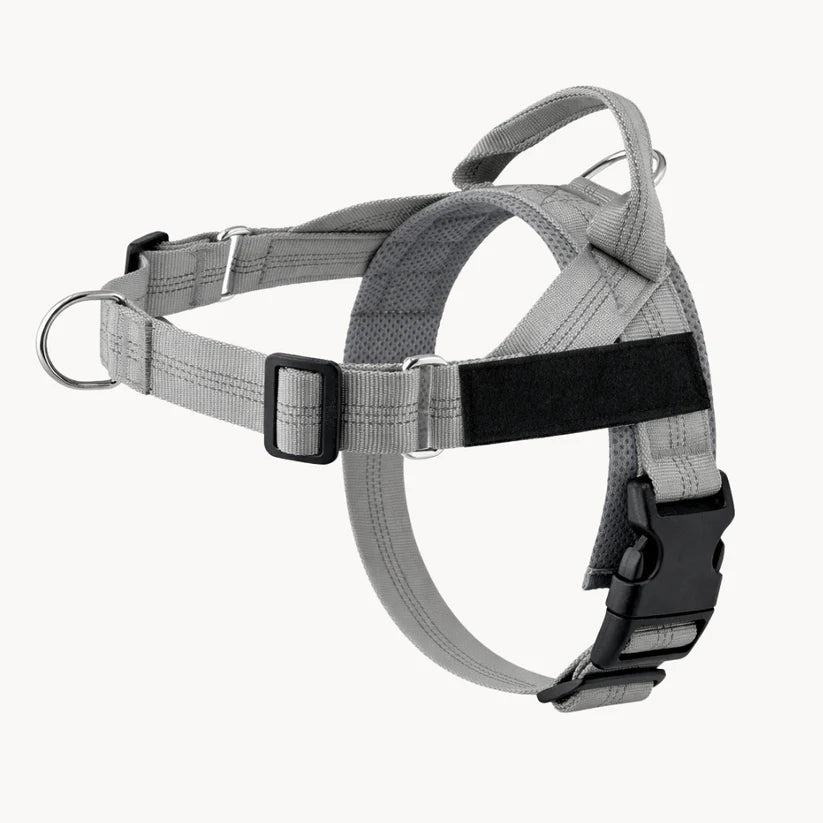 Harnais anti-traction pour chien Netovia