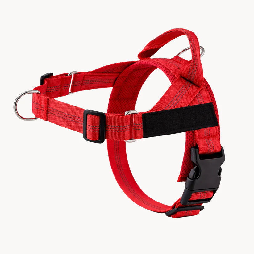 Harnais anti-traction pour chien Netovia