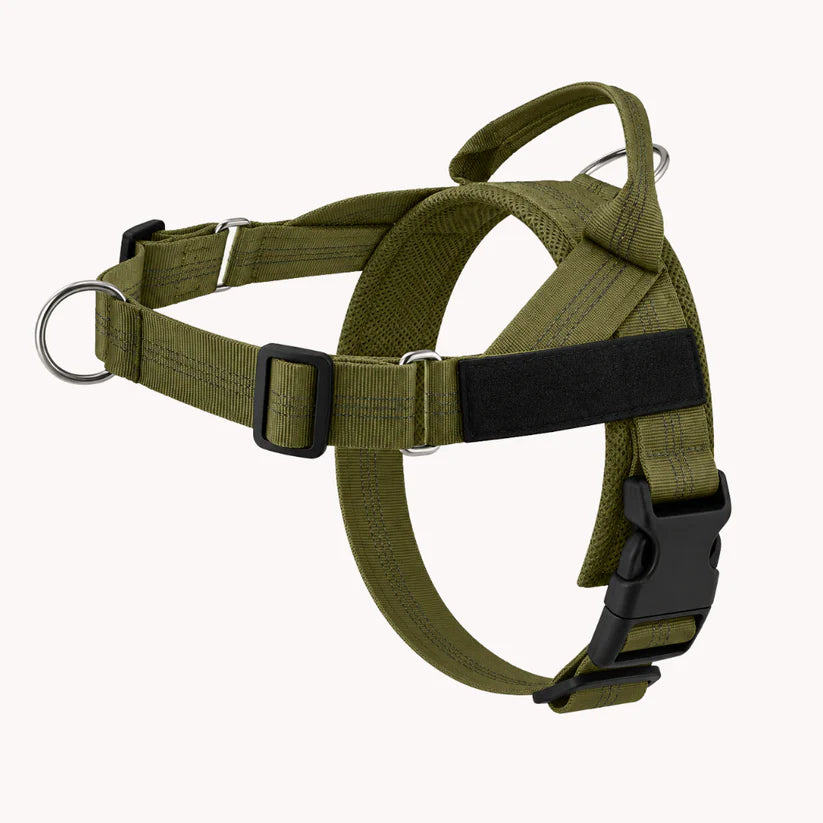 Harnais anti-traction pour chien Netovia