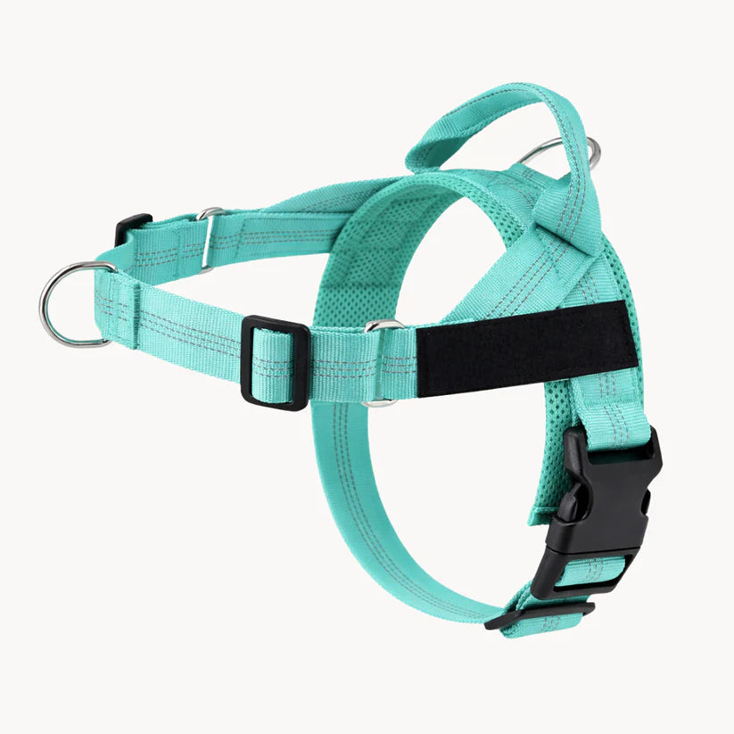 Harnais anti-traction pour chien Netovia