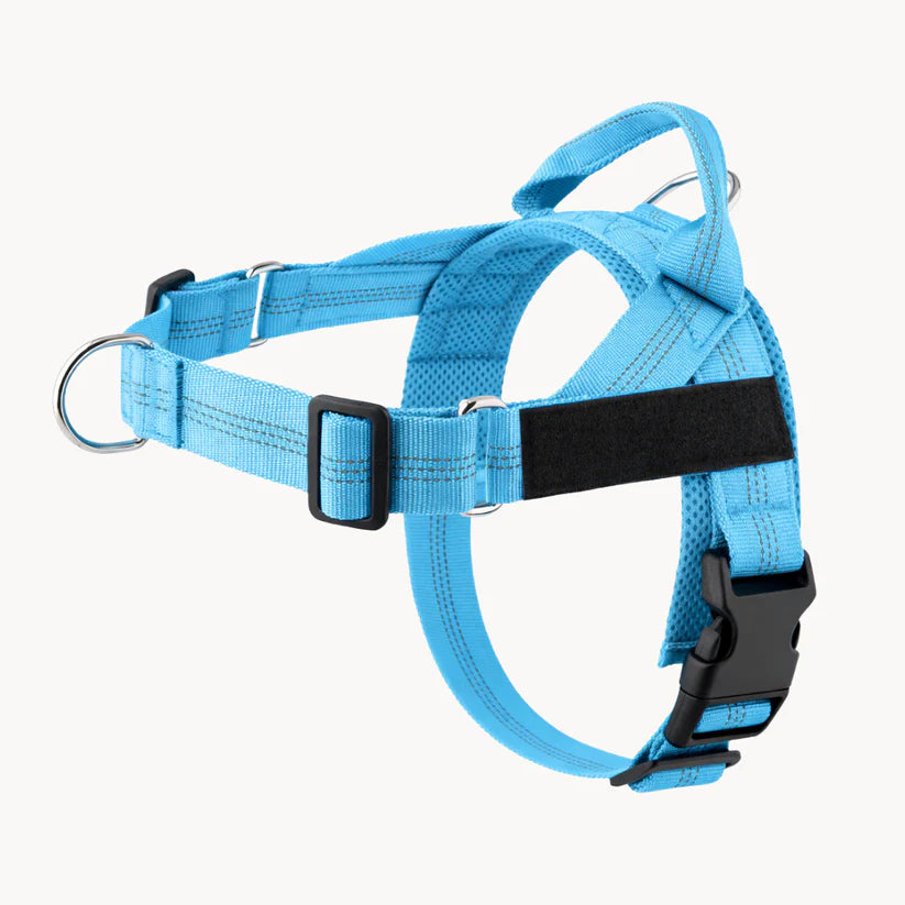Harnais anti-traction pour chien Netovia