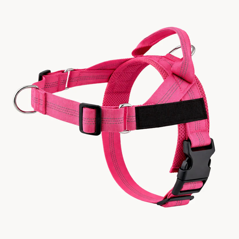 Harnais anti-traction pour chien Netovia