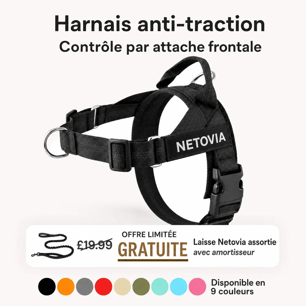 Harnais anti-traction pour chien Netovia
