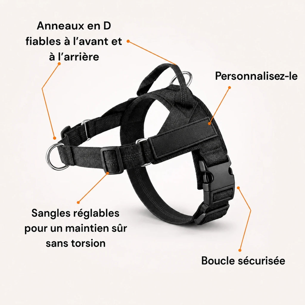 Harnais anti-traction pour chien Netovia