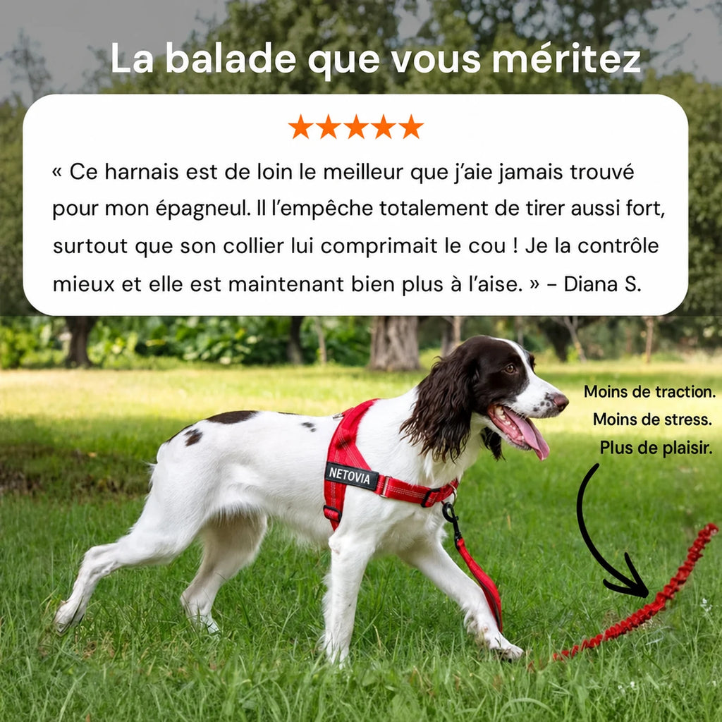 Harnais anti-traction pour chien Netovia