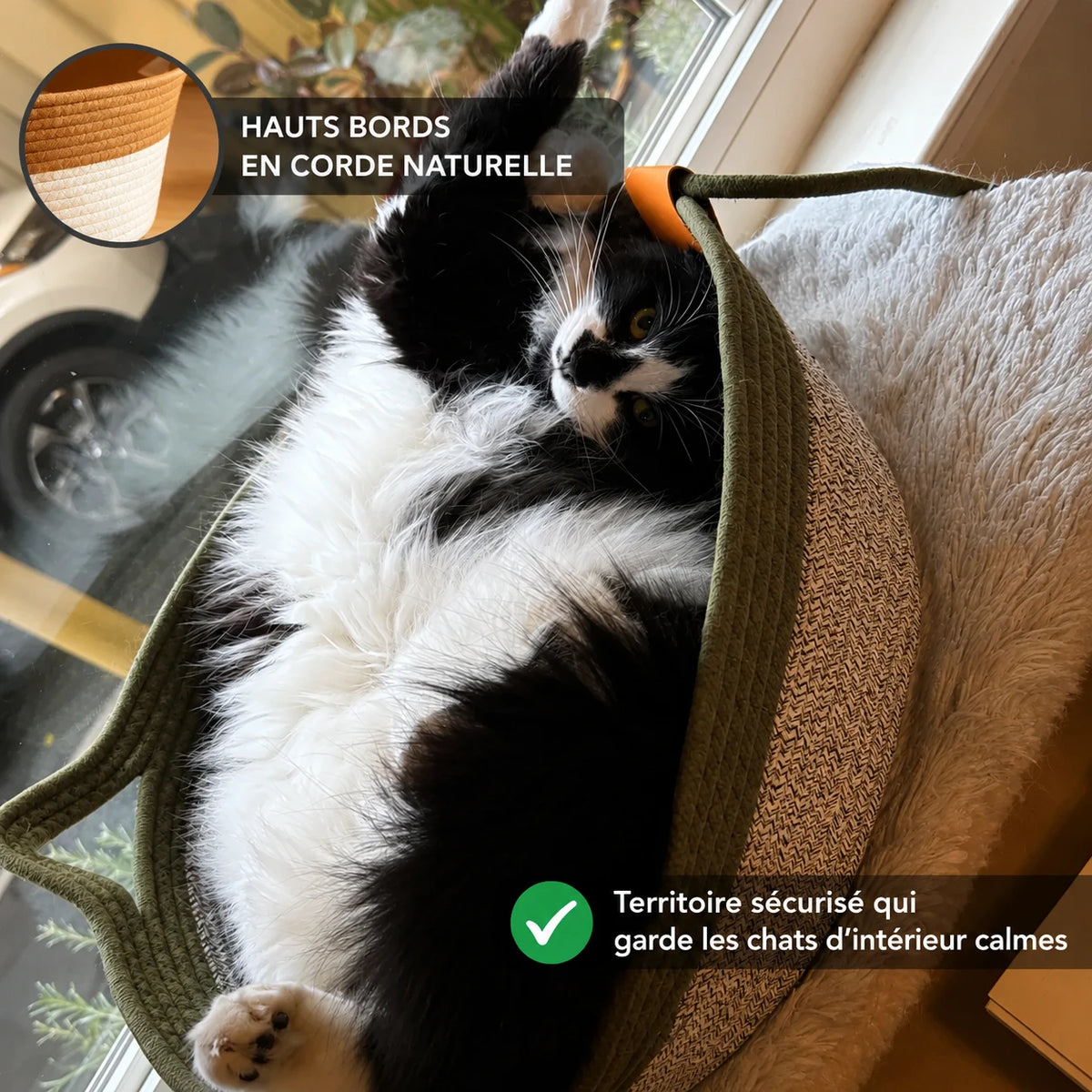 Instinct Basket | Découvrez le premier territoire naturel pour chats d'intérieur validé par la recherche