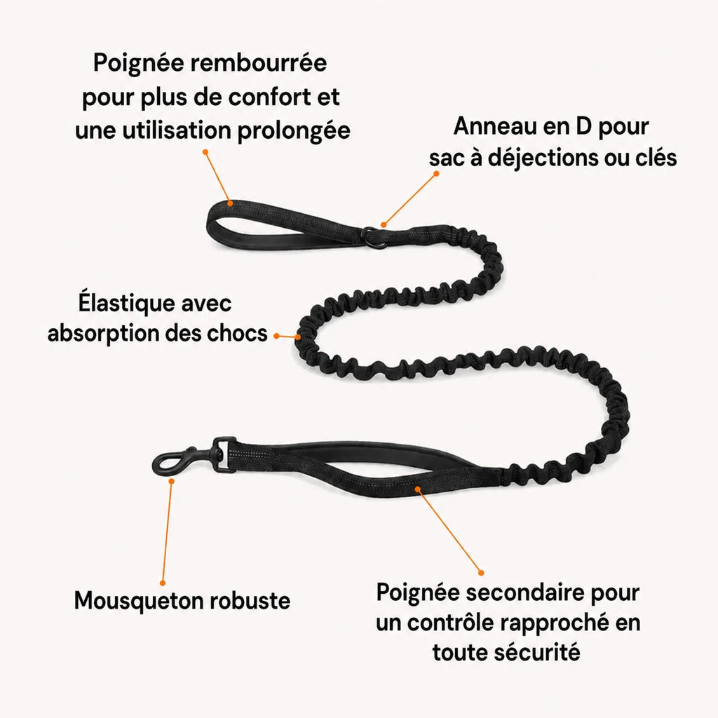 Harnais anti-traction pour chien Netovia