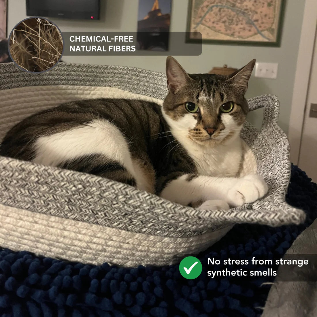 Instinct Basket | Découvrez le premier territoire naturel pour chats d'intérieur validé par la recherche
