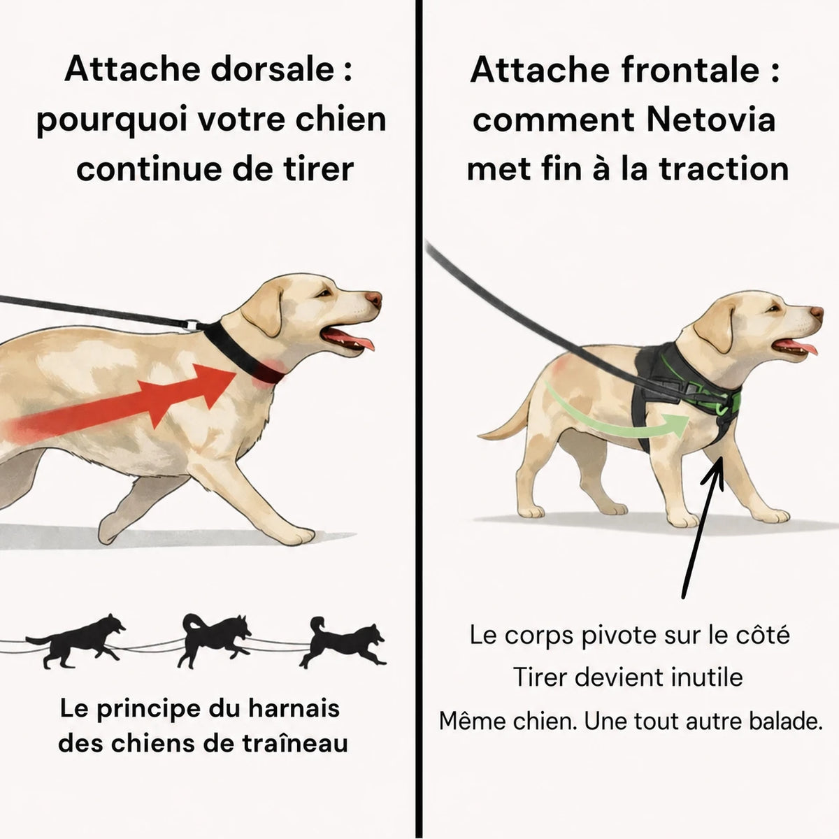 Harnais anti-traction pour chien Netovia