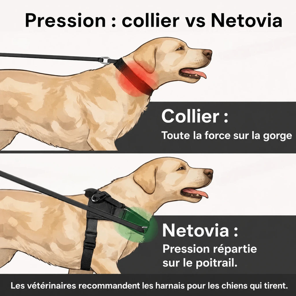 Harnais anti-traction pour chien Netovia