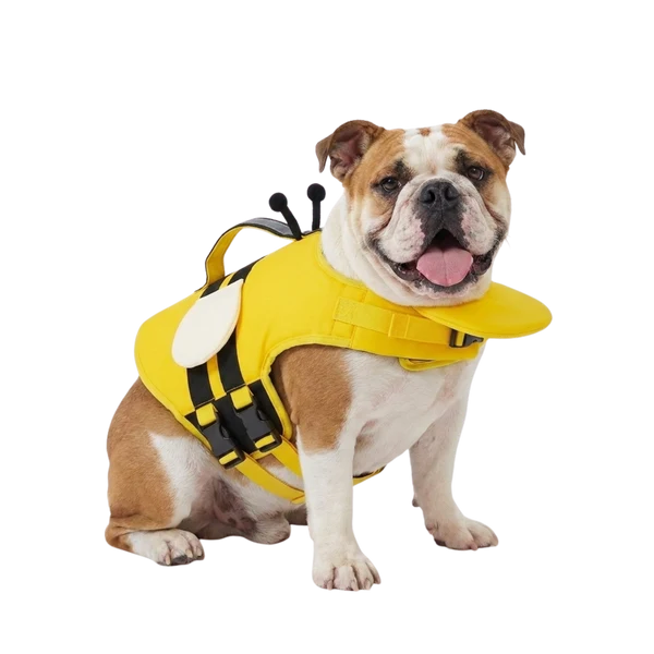 Flotteur Canin
