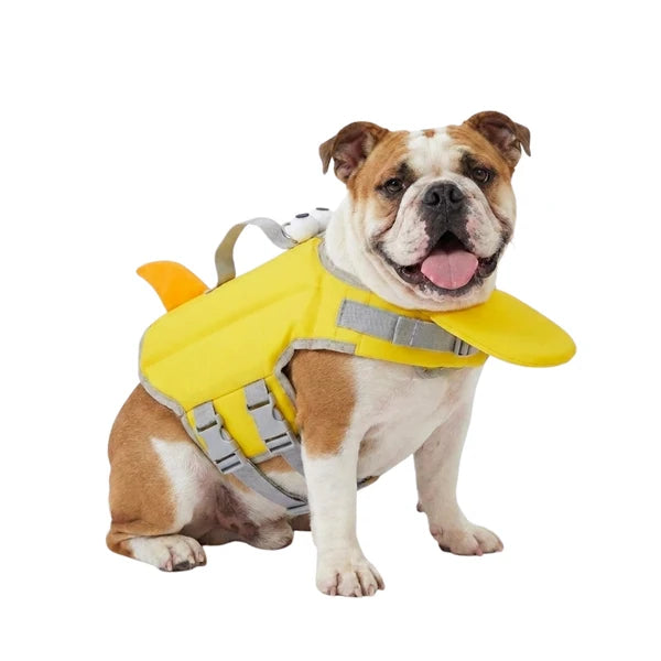 Flotteur Canin
