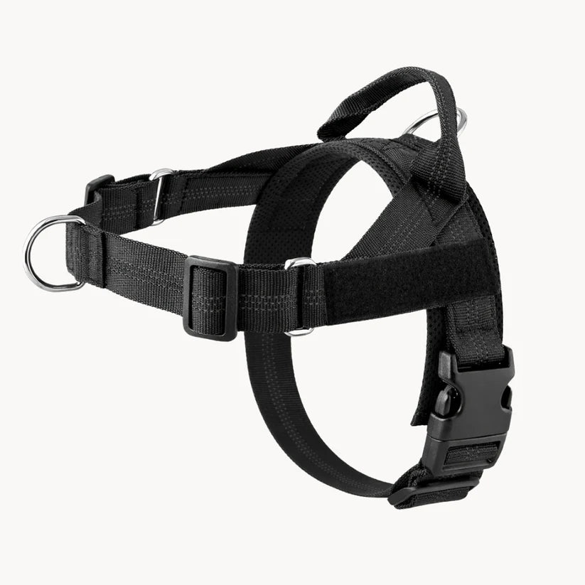 Harnais anti-traction pour chien Netovia