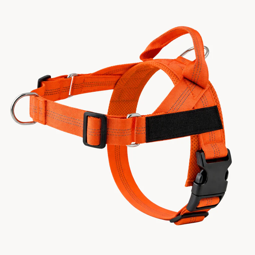 Harnais anti-traction pour chien Netovia